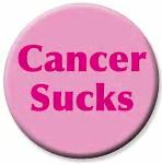 Pink Cancer Sucks Pin - click to enlarge